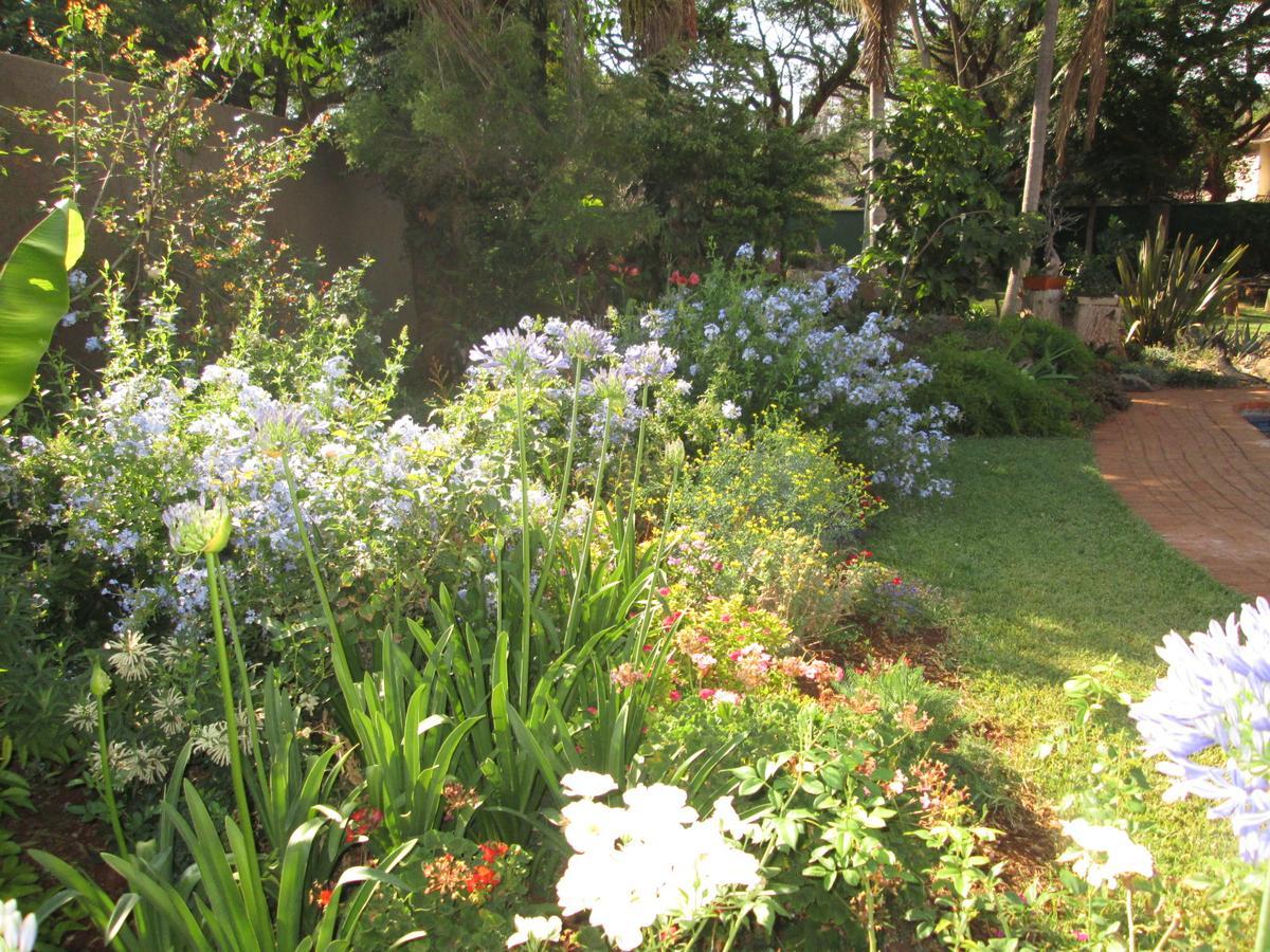 12 Fleetwood Bed and Breakfast Harare Buitenkant foto